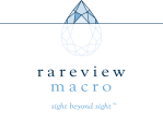 Rareview Macro Logo